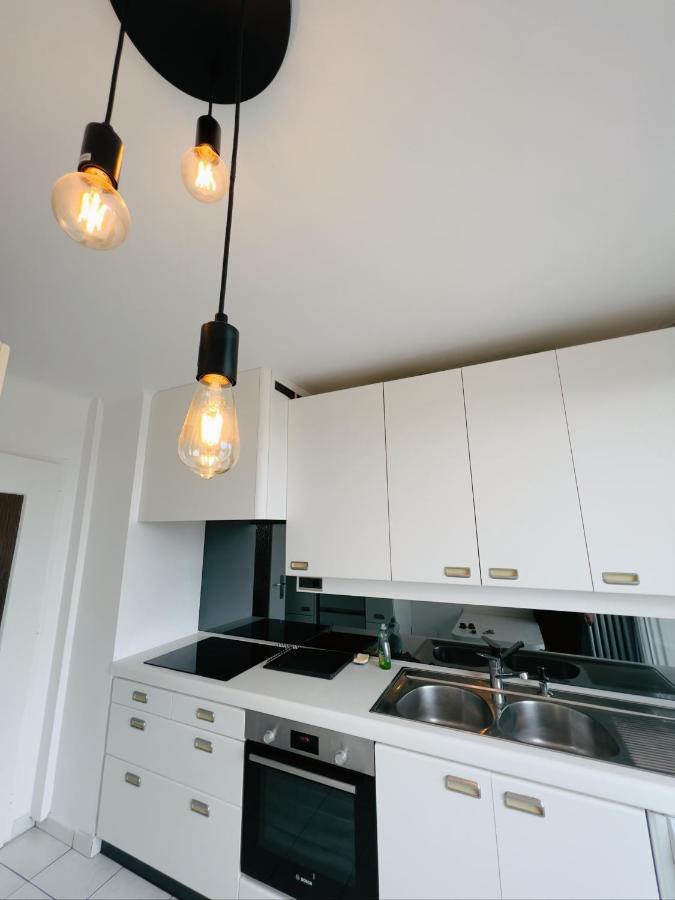 Appartement Spacieux Avec Balcon Saint-Fons المظهر الخارجي الصورة